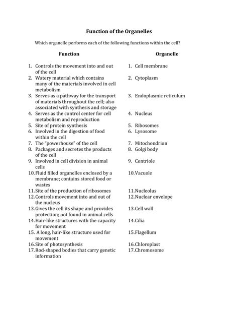 Function Of The Organelles Worksheet