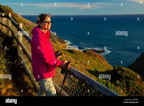 Headland Trail View Port Orford Heads State Park Oregon Stock Photo