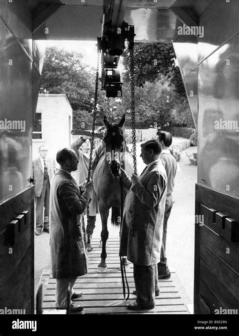 The Interior Of The New Horse Ambulance August 1963 Stock Photo Alamy