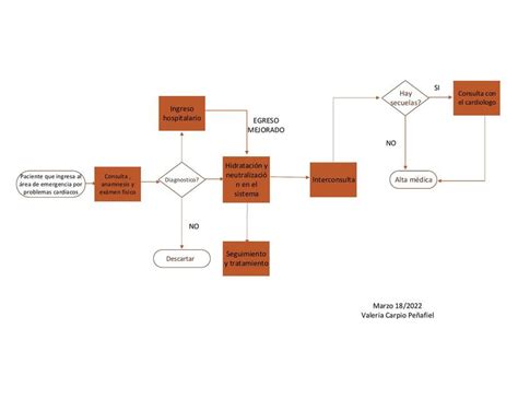 DIAGRAMA DE FLUJO EN MEDICINA Valeria Carpio UDocz