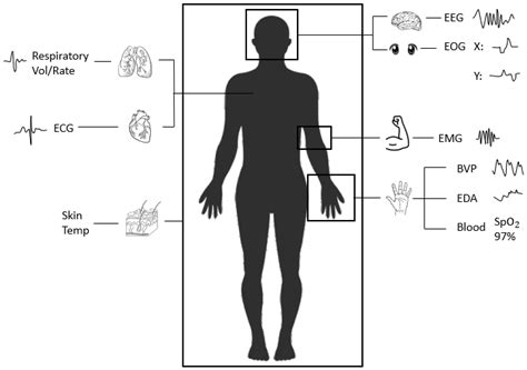 Human Signal Sources Encyclopedia Mdpi