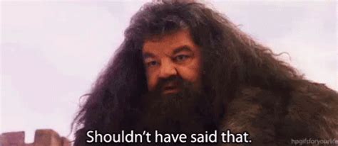 Shouldn T Have Said That Hagrid Shouldnt Say Oops Discover