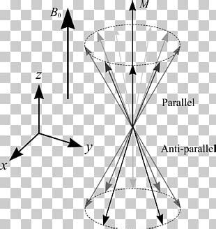 Larmor Precession Magnetic Field Nuclear Magnetic Resonance ...