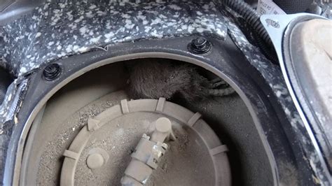 Топливный фильтр аккорд 8 - YouTube