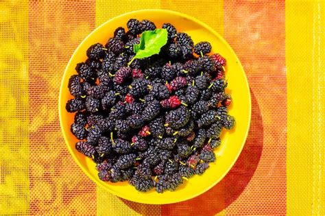 Premium Photo Ripe Mulberry Berries In A Cup On A Bright Surface