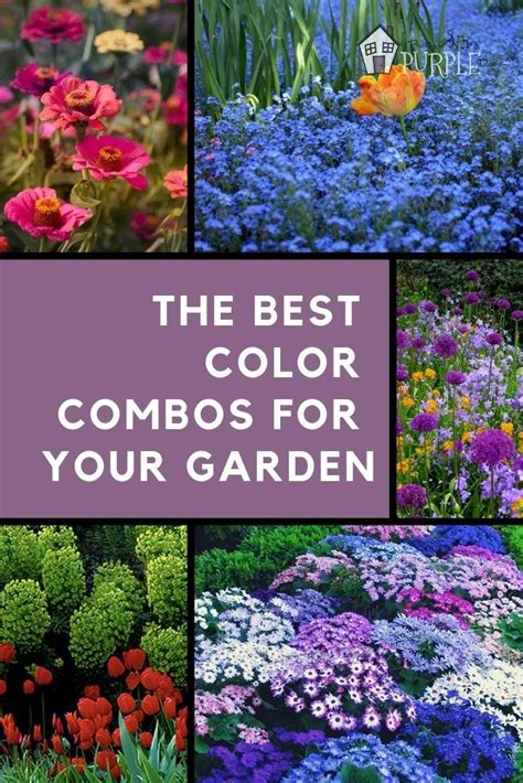 Simple Secrets For Creating Garden Color Schemes Colorful Garden Gorgeous Gardens Beautiful