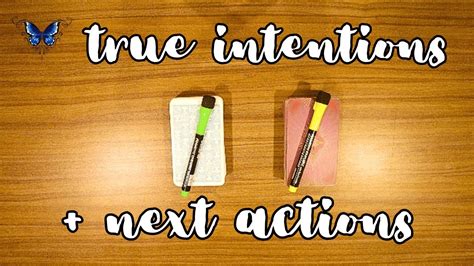 💕 ️ Their True Intentions Next Actions 💕 ️😍 ️‍🩹 Timeless Tarot