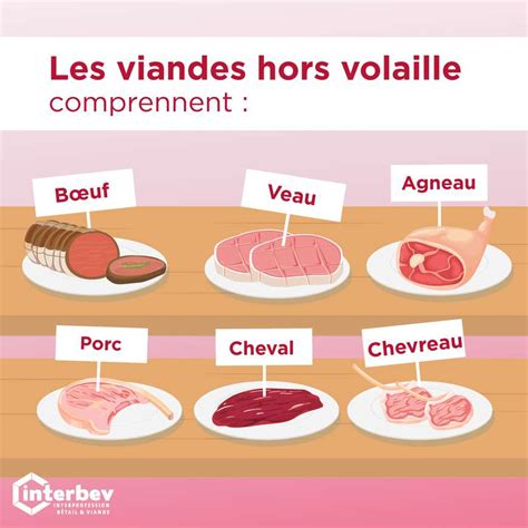 Définitions des viandes Nutrition santé La viande fr