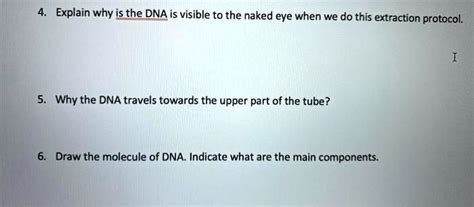 4 Explain Why Is The DNA Is Visible To The Naked Eye When We Do This Extraction Protocol 5