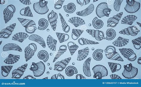 Background Of Painted Shells Beautiful Marine Animation Of Painted