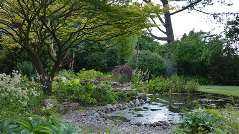 Woodland garden ideas: give your yard a leafy canopy | Homes & Gardens