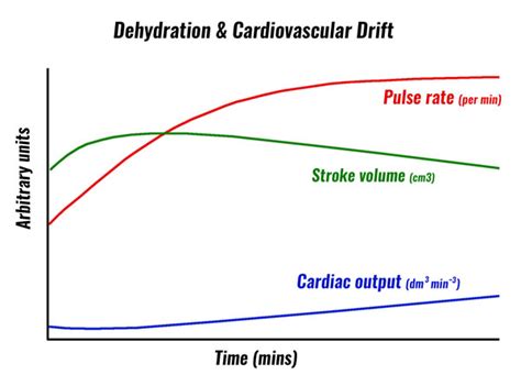 Water And Hydration In Sport