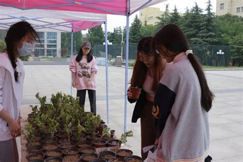 我校举行美丽中国青春行动第十三届全国青少年绿植领养活动