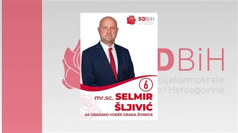 Selmir Šljivić YouTube