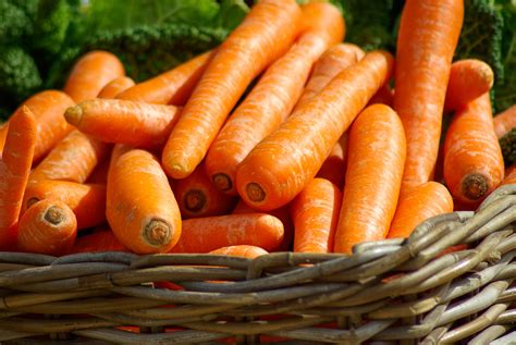 Fotos Gratis Naranja Comida Produce Vegetal Zanahoria Cesta De