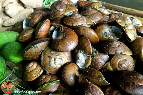 9 Weird foods you should try in Catanduanes - TRIPAPIPS