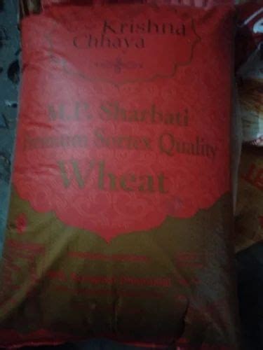 Golden 25 Kg Wheat Grains At Rs 50 Kg In Asandh ID 2851235731030