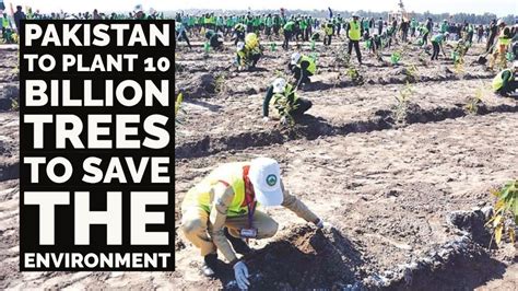 Pakistan To Plant Ten Billion Trees Youtube