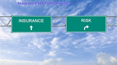 Tree Services Insurance Cost And Coverage