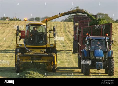 Harvester Collecting Filling Trailer Cut Hi Res Stock Photography And