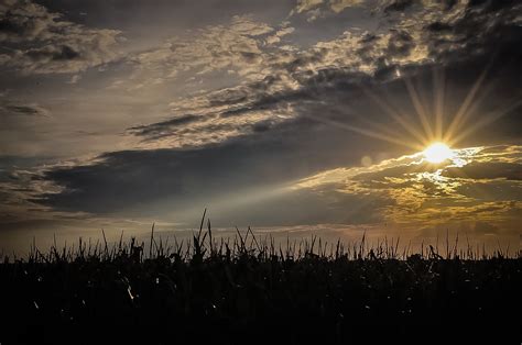 Banco De Imagens Panorama Natureza Ao Ar Livre Horizonte Nuvem Céu Dom Nascer Do Sol