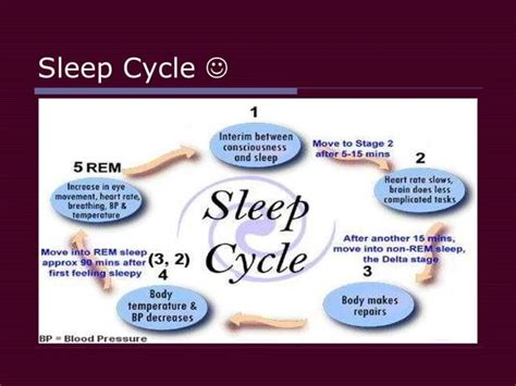 stages of sleep | PPT