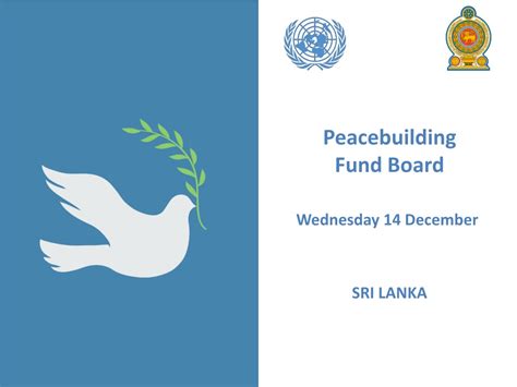 Ppt Peacebuilding Fund Board Powerpoint Presentation Free Download