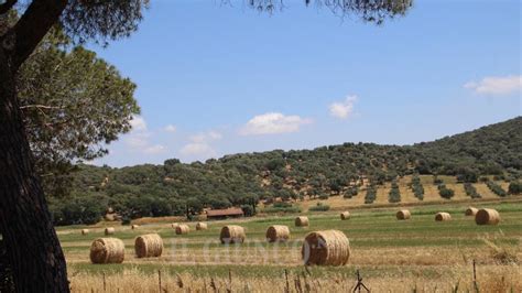 Nasce La Guida Turistica Della Maremma Alla Scoperta Di Paesaggi