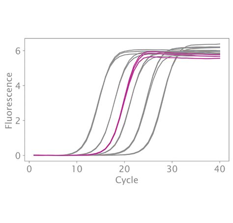 Ngsbio Library Quant Kit For Illumina Separate Rox Witec Ag