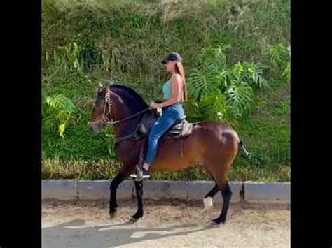 Lina Jiménez con trincherazo Criadero la Cumbre Yeison Jiménez