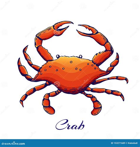 Blue Crab Red Sea Animal With Claws Engraved Colored Crab In Vintage