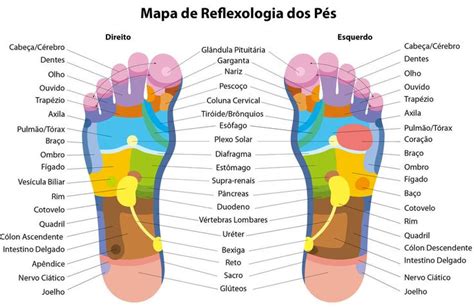 Veja Como Tratar Problemas De Saúde Usando A Reflexologia Nos Pés