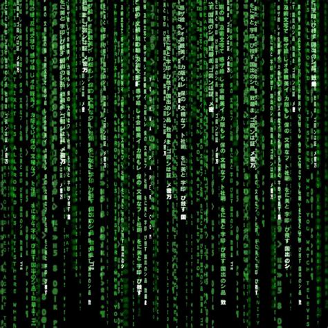 Download Movie The Matrix Pfp