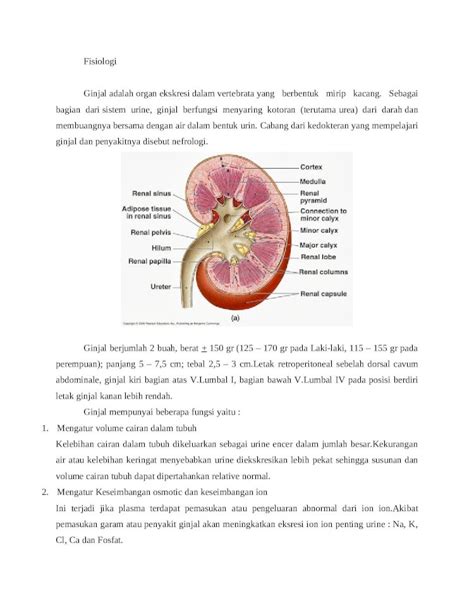 Docx Fisiologi Dan Histologi Dokumen Tips