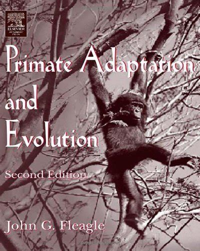 Primate Adaptation And Evolution Kindle Edition By Fleagle John