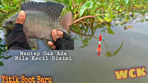 Spot Baru Nila Babon Disini Ganas Ternyata Mancing Waduk Cengklik