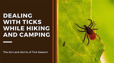 Trail Safety How To Avoid Ticks While Hiking Joey Journeys