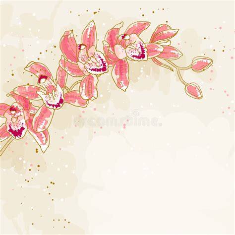 Orchids Contour Flowers On A White Background Stock Vector