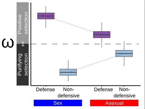 Predictions on molecular evolutionary interaction of defense vs ... 