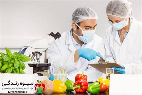 مسئول فنی صنایع غذایی صفرتا صد تحصیل و اشتغال در شغل مسئول فنی صنایع غذایی