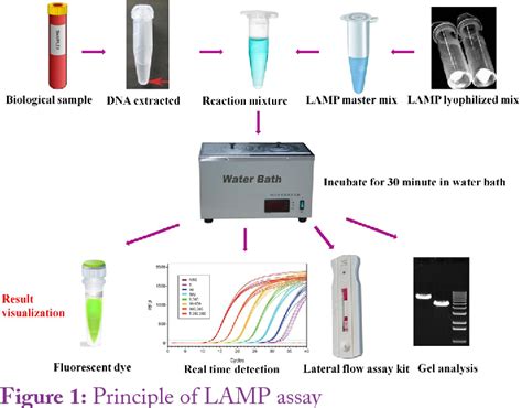 Figure 1 From Comparison Of Different Molecular And Serological Assays