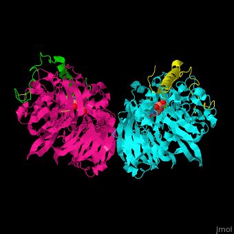 Methanol Dehydrogenase Proteopedia Life In 3D