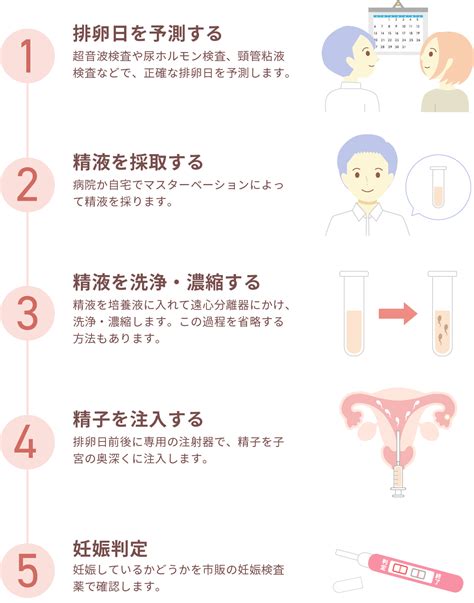 【人工授精aihの詳細】流れ・費用・成功確率など解説｜桜十字ウィメンズクリニック渋谷