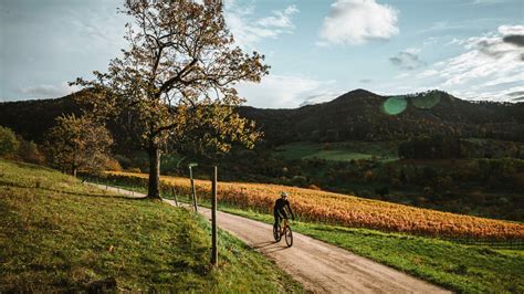 Bike | Alpinetrek