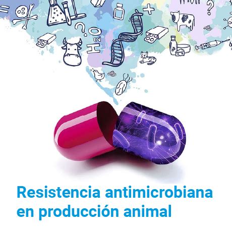 Resistencia A Los Antimicrobianos Ops Oms Organizaci N Panamericana