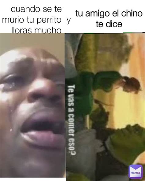 Tu Amigo El Chino Te Dice Cuando Se Te Murio Tu Perrito Y Lloras Mucho