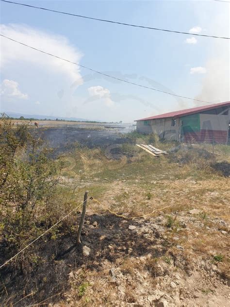 Foto Zeci De Hectare I Utilaje Distruse Ntr Un Incendiu N Jude Ul