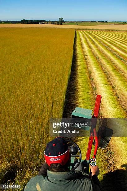 Flax Farm Photos And Premium High Res Pictures Getty Images