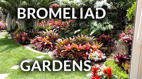 Bromeliad Gardens Youtube