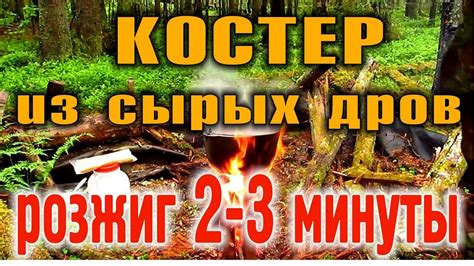 КОСТЕР В ДОЖДЬ. КОСТЕР ПОСЛЕ ДОЖДЯ. КОСТЕР В СЫРОМ ЛЕСУ. Быстрое ...